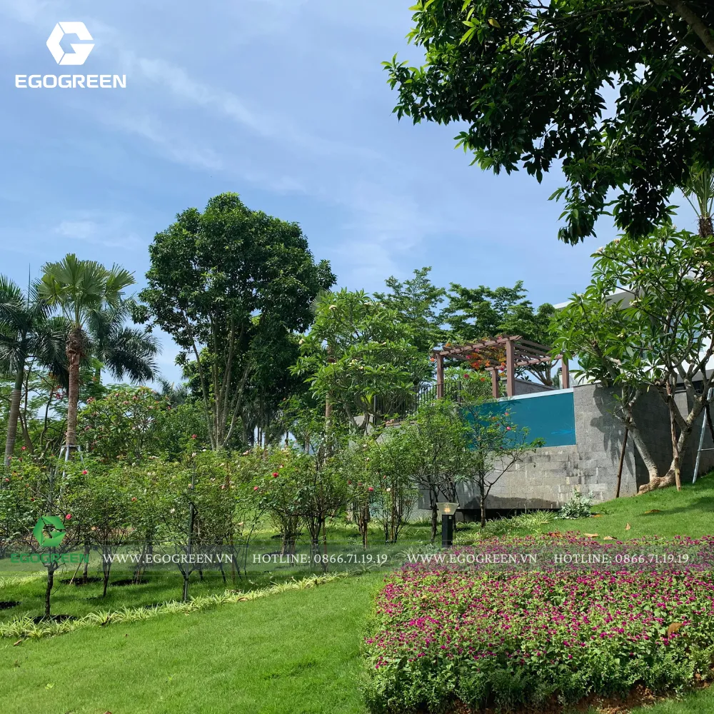 Vườn hoa hồng theo sở thích của gia chủ.